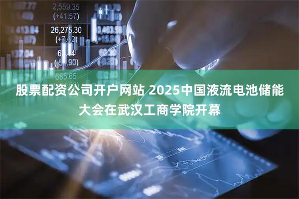 股票配资公司开户网站 2025中国液流电池储能大会在武汉工商学院开幕